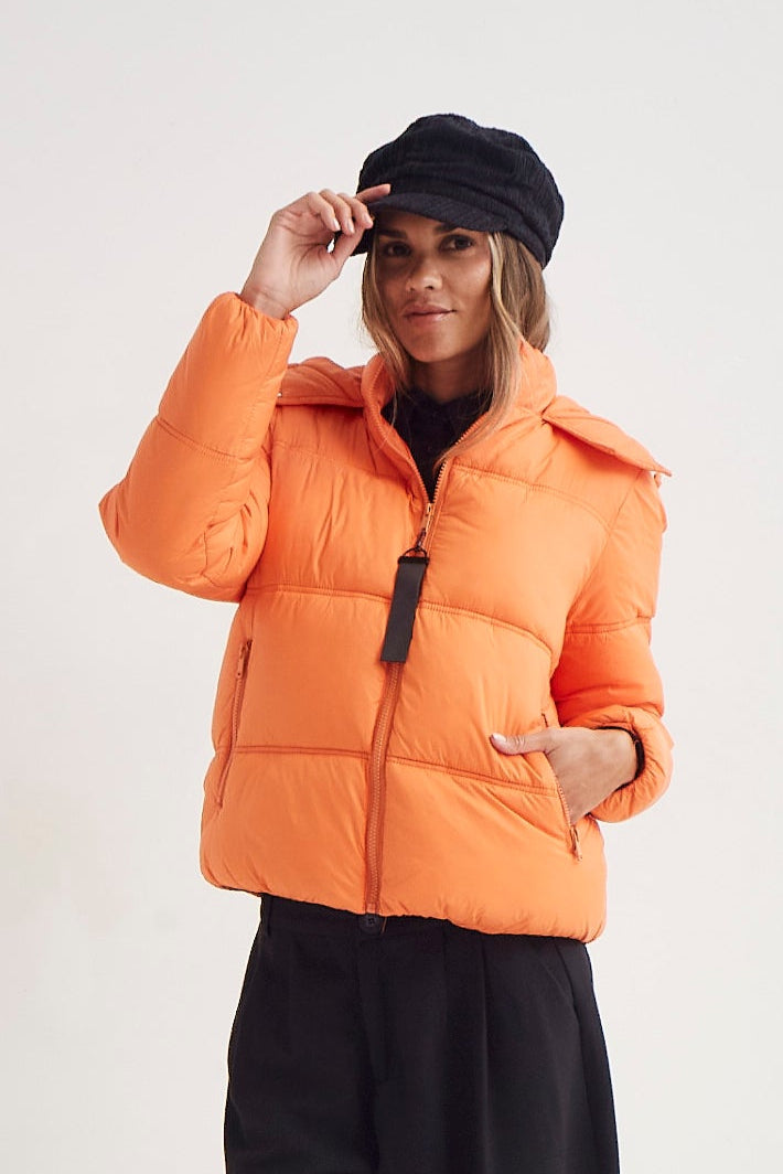 CAMPERA BERNI